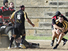 thumb_DSC_6464.jpg